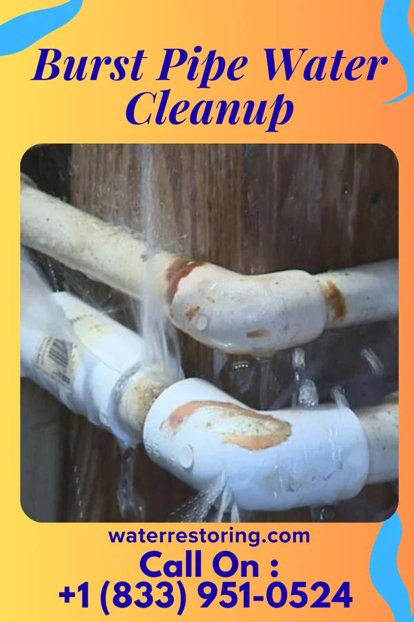 Burst Pipe Water Cleanup in Edgar, NE