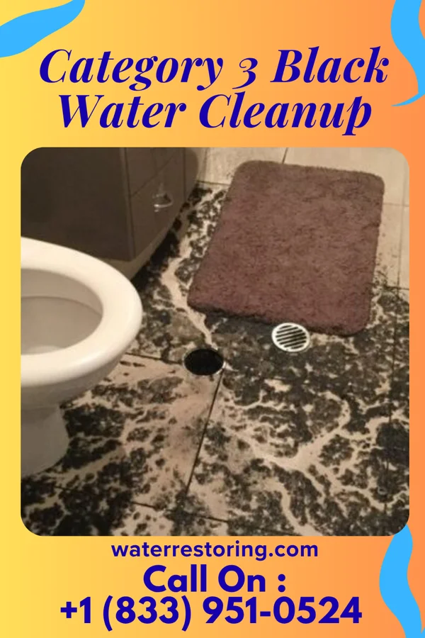 Category 3 Black Water Cleanup in Edgar, NE