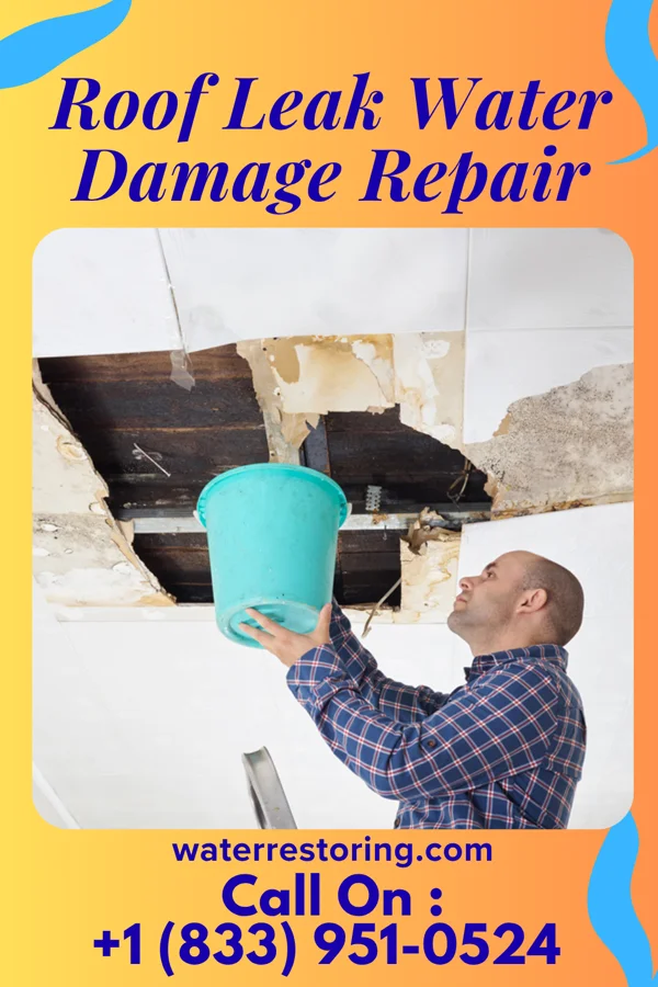 Roof Leak Water Damage Repair in Edgar, NE